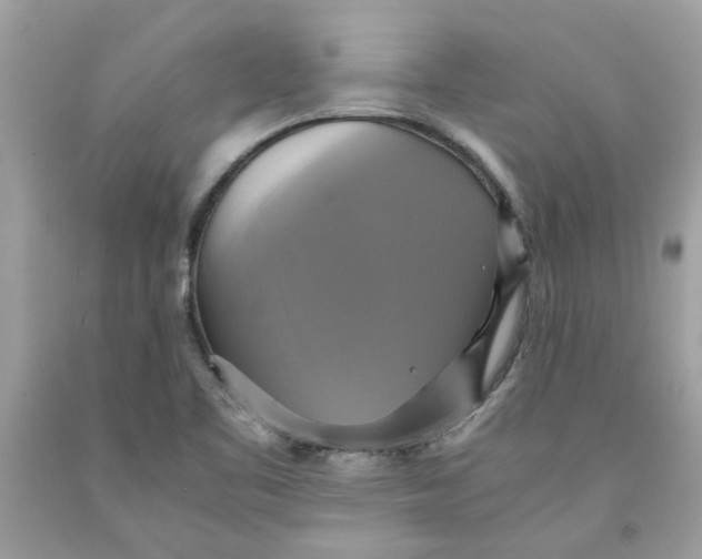 X0000091711461200709141110