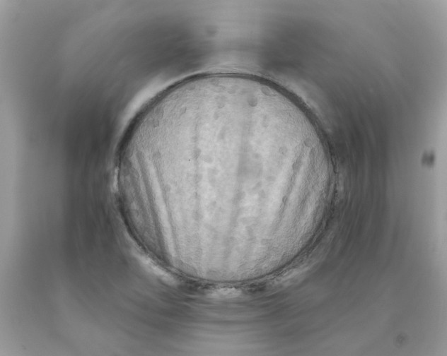 X0000091711462200709141110