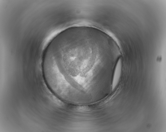 X0000091711464200709141110