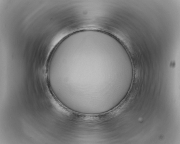 X0000091711466200709141110