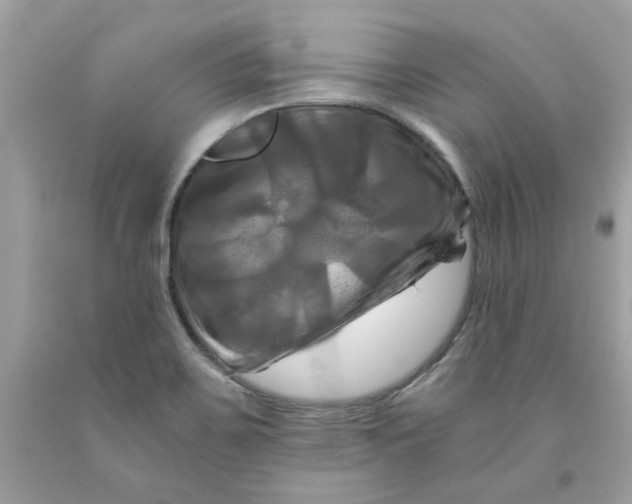 X0000091711467200709141110