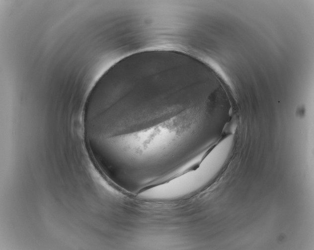 X0000091711468200709141110