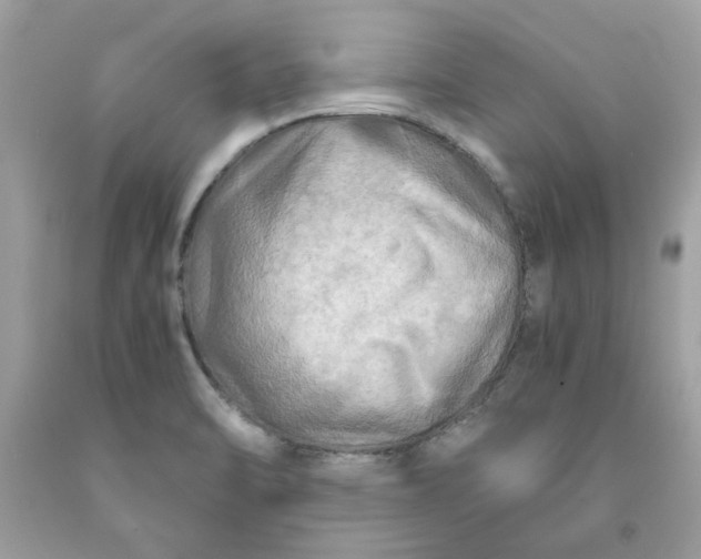 X0000091711470200709141110