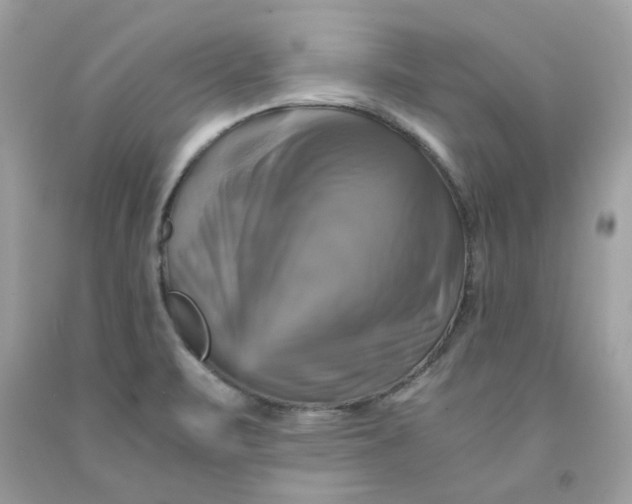 X0000091711471200709141110