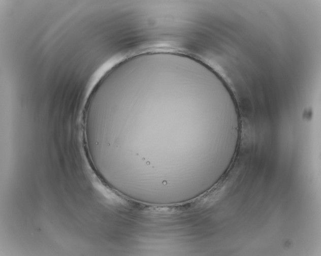 X0000091711474200709141110