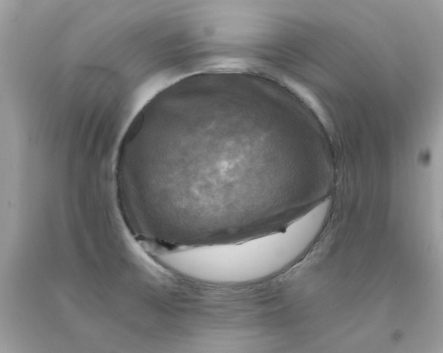 X0000091711475200709141110