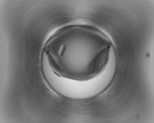 X0000091711477200709141110