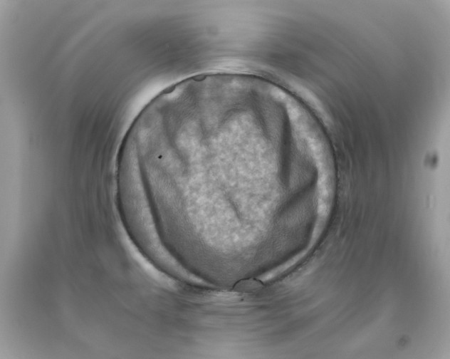 X0000091711479200709141110