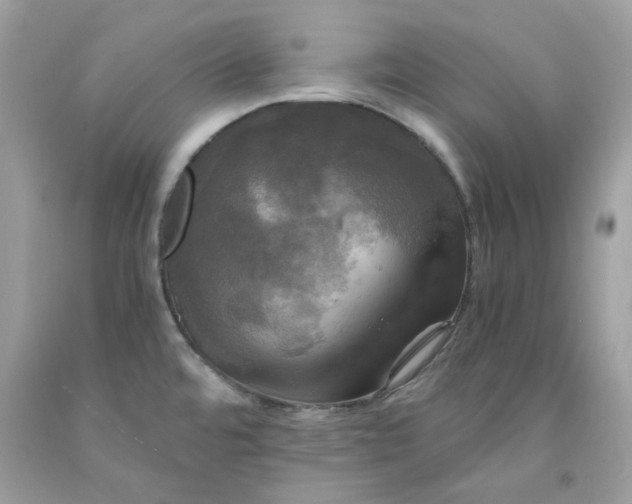 X0000091711480200709141110