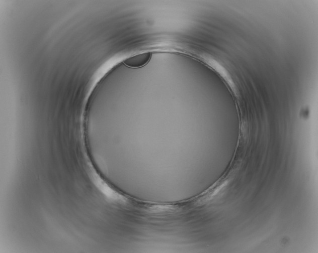 X0000091711482200709141110