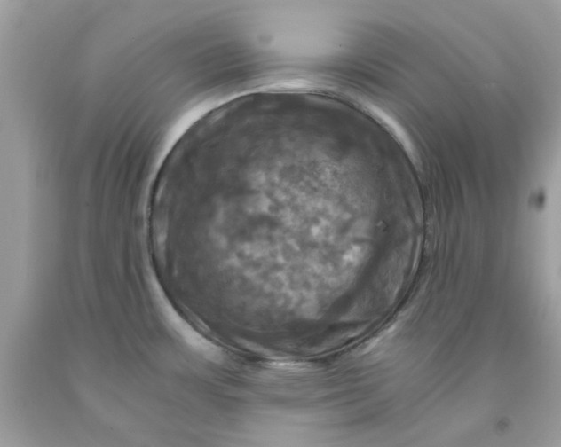 X0000091711483200709141110