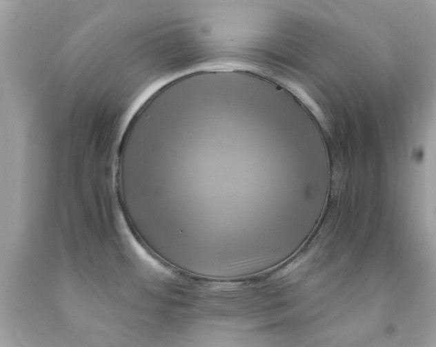 X0000091711484200709141110