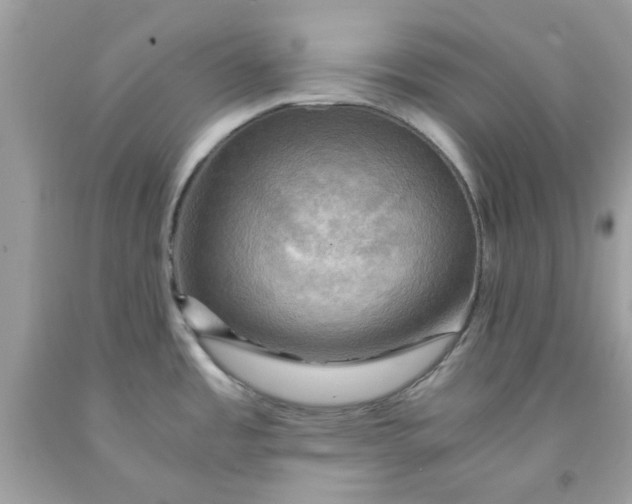 X0000091711485200709141110