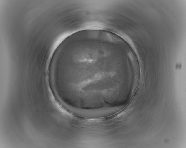 X0000091711488200709141110