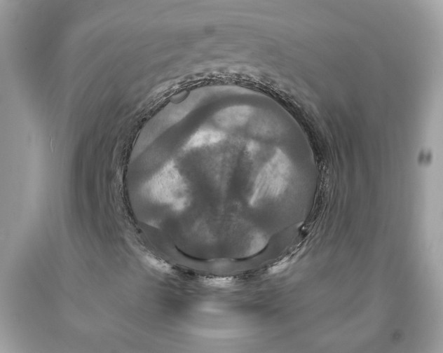 X0000091711489200709141109