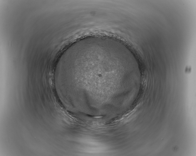 X0000091711490200709141109