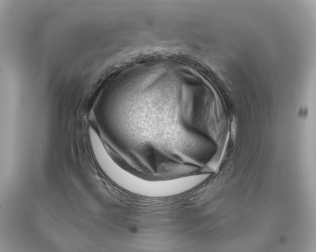 X0000091711492200709141109