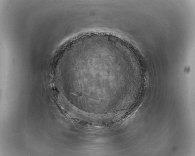 X0000091711494200709141109