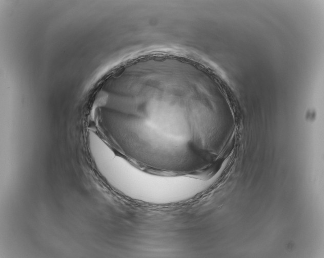 X0000091711496200709141109