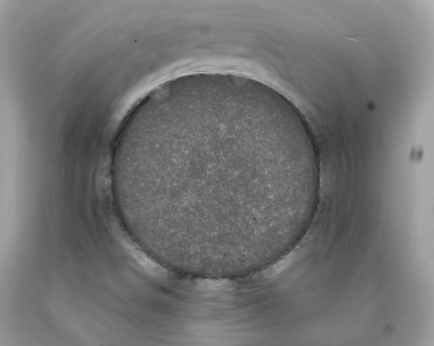 X0000091711498200709141109