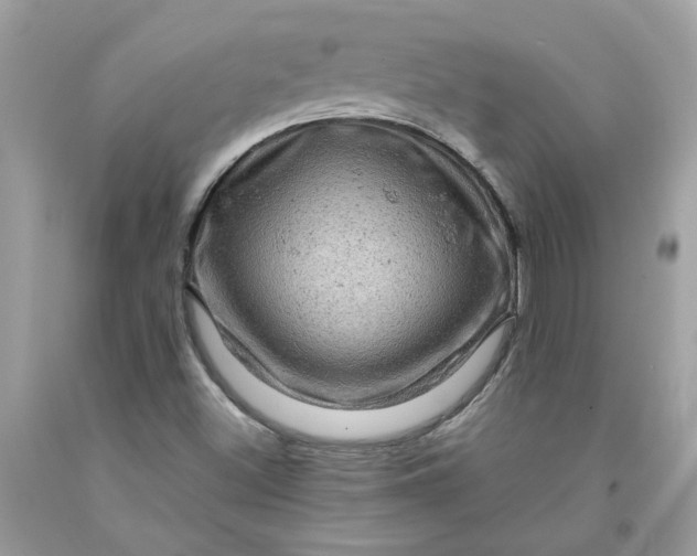 X0000091711500200709141109