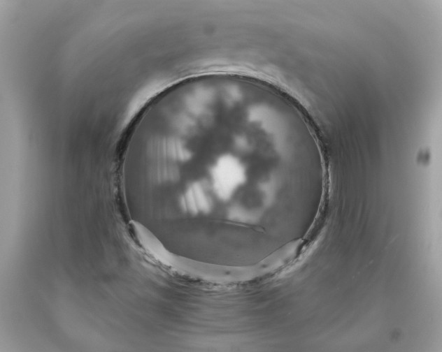 X0000091711501200709141109