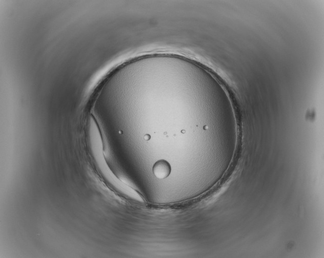 X0000091711502200709141109