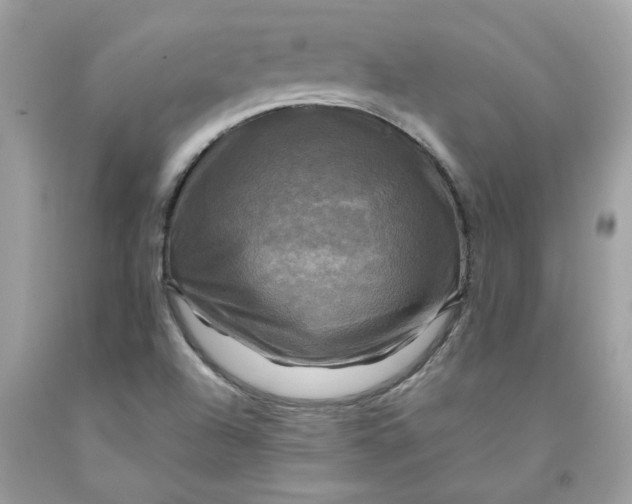 X0000091711504200709141109