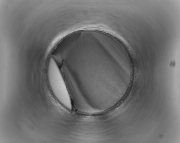 X0000091711506200709141109