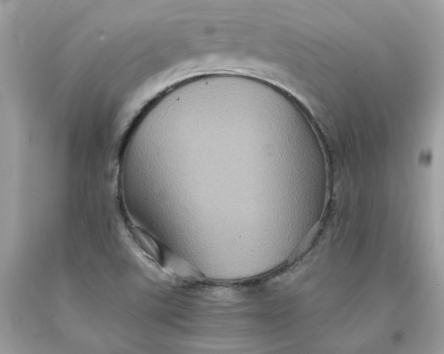 X0000091711507200709141109