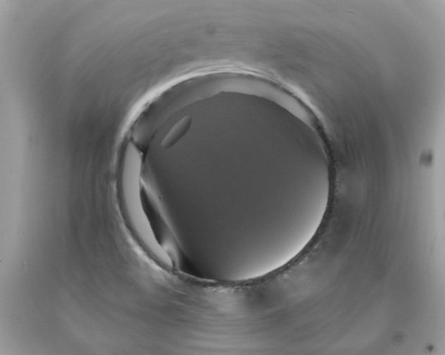 X0000091711508200709141109