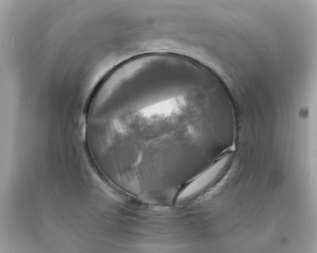 X0000091711509200709141109