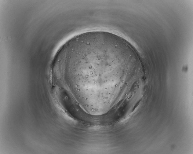 X0000091711510200709141109