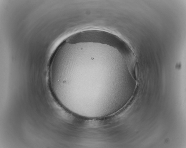 X0000091711511200709141109