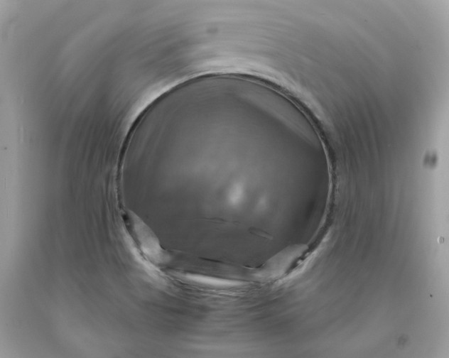 X0000091711513200709141109