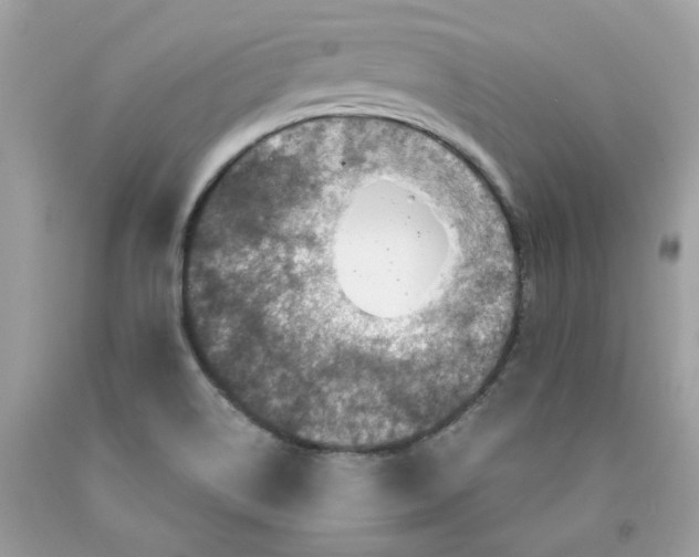 X0000091711514200709141109