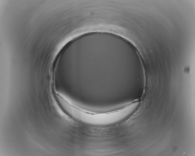 X0000091711515200709141109