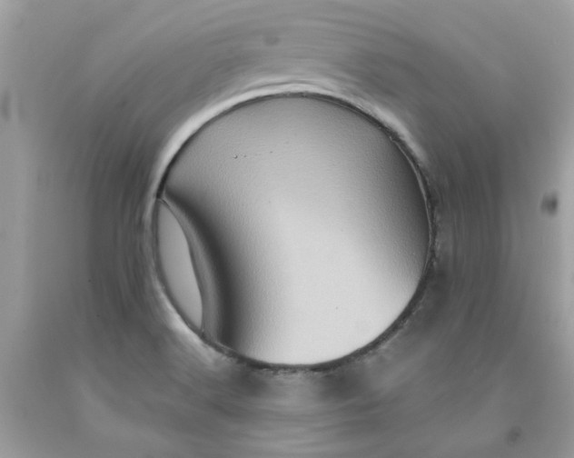 X0000091711516200709141109