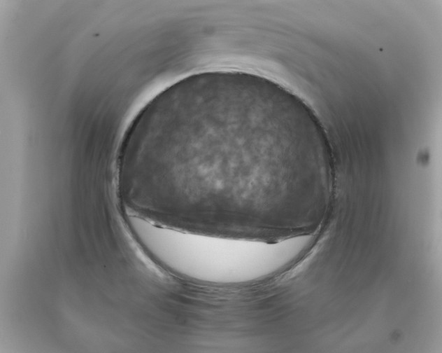 X0000091711517200709141109