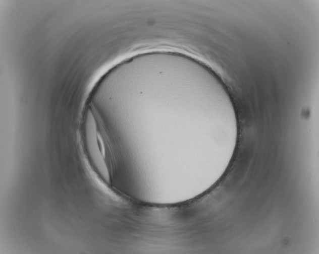 X0000091711518200709141109