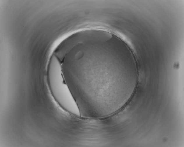 X0000091711520200709141109