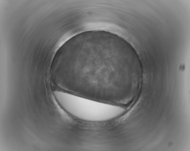 X0000091711521200709141109