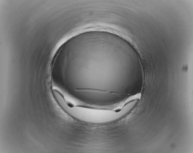 X0000091711522200709141109