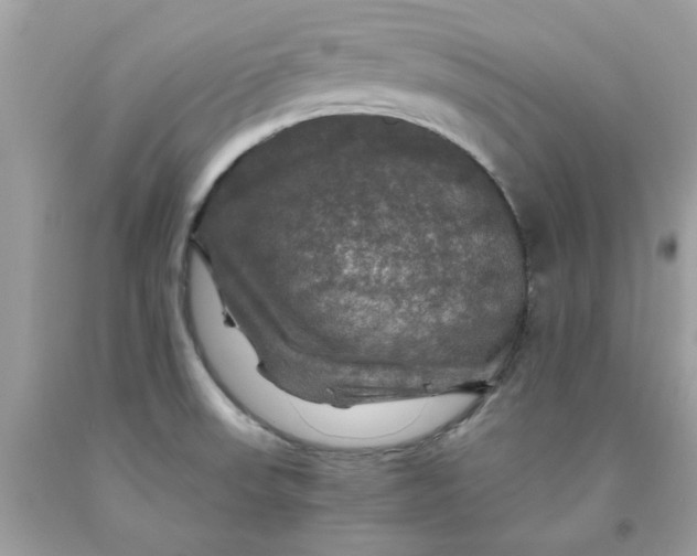 X0000091711523200709141109