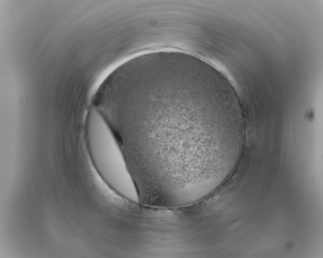 X0000091711524200709141109