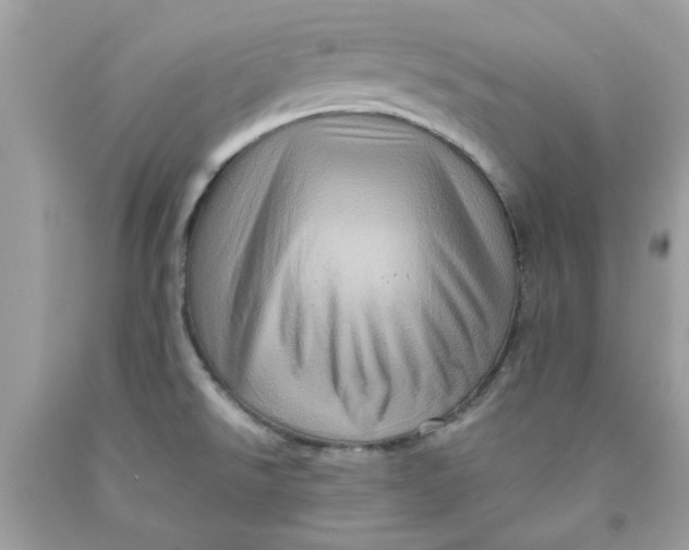 X0000091711526200709141109