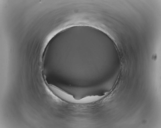 X0000091711527200709141109