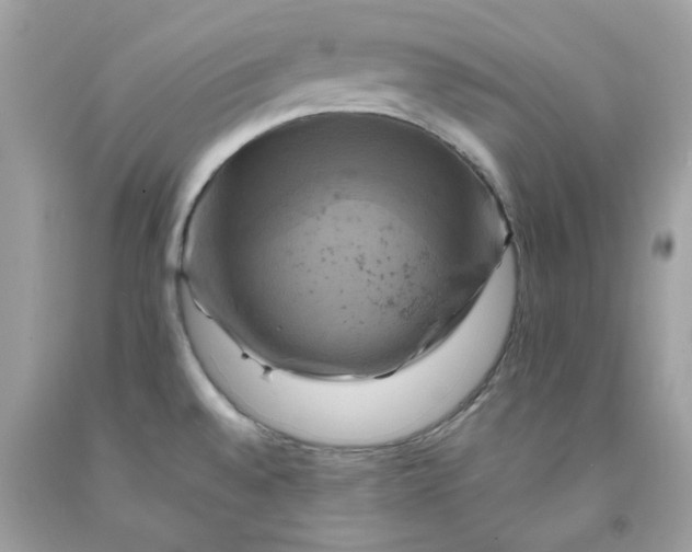 X0000091711528200709141109