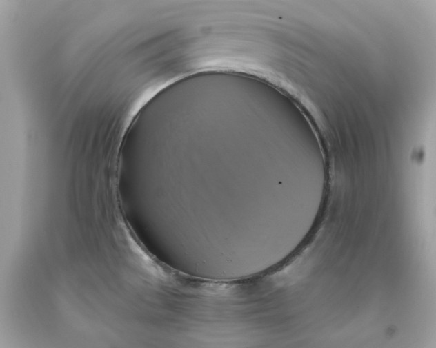 X0000091711529200709141109