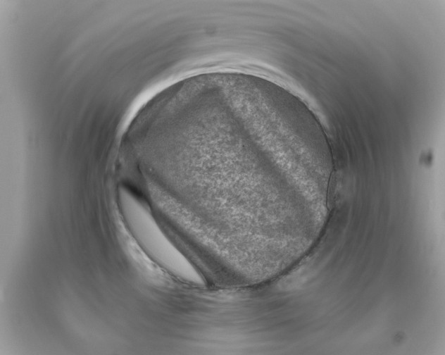 X0000091711530200709141109